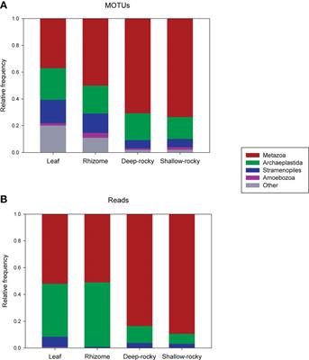 Metabarcoding the eukaryotic community of a threatened, iconic Mediterranean habitat: Posidonia oceanica seagrass meadows